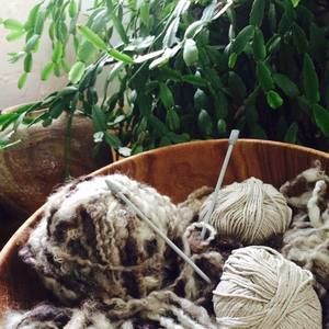 Meet your Posher, Alexandria sandy